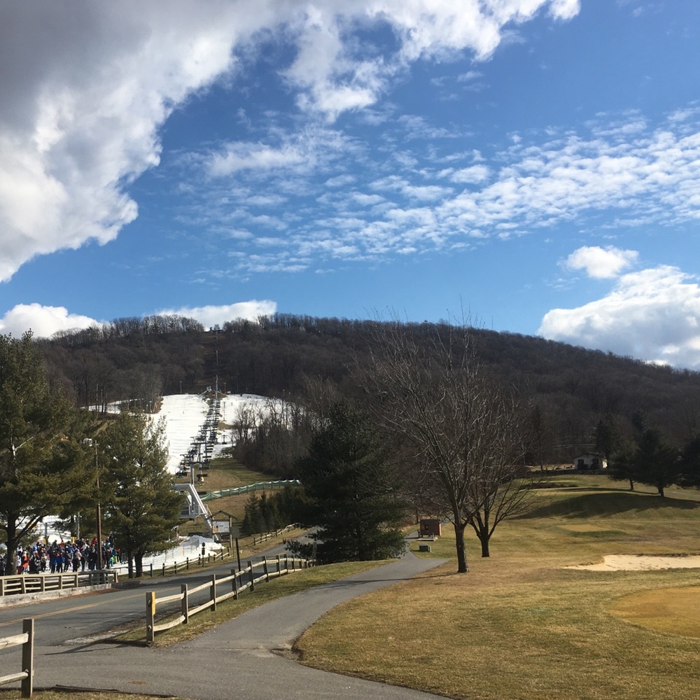 Meet your Posher, Thuy